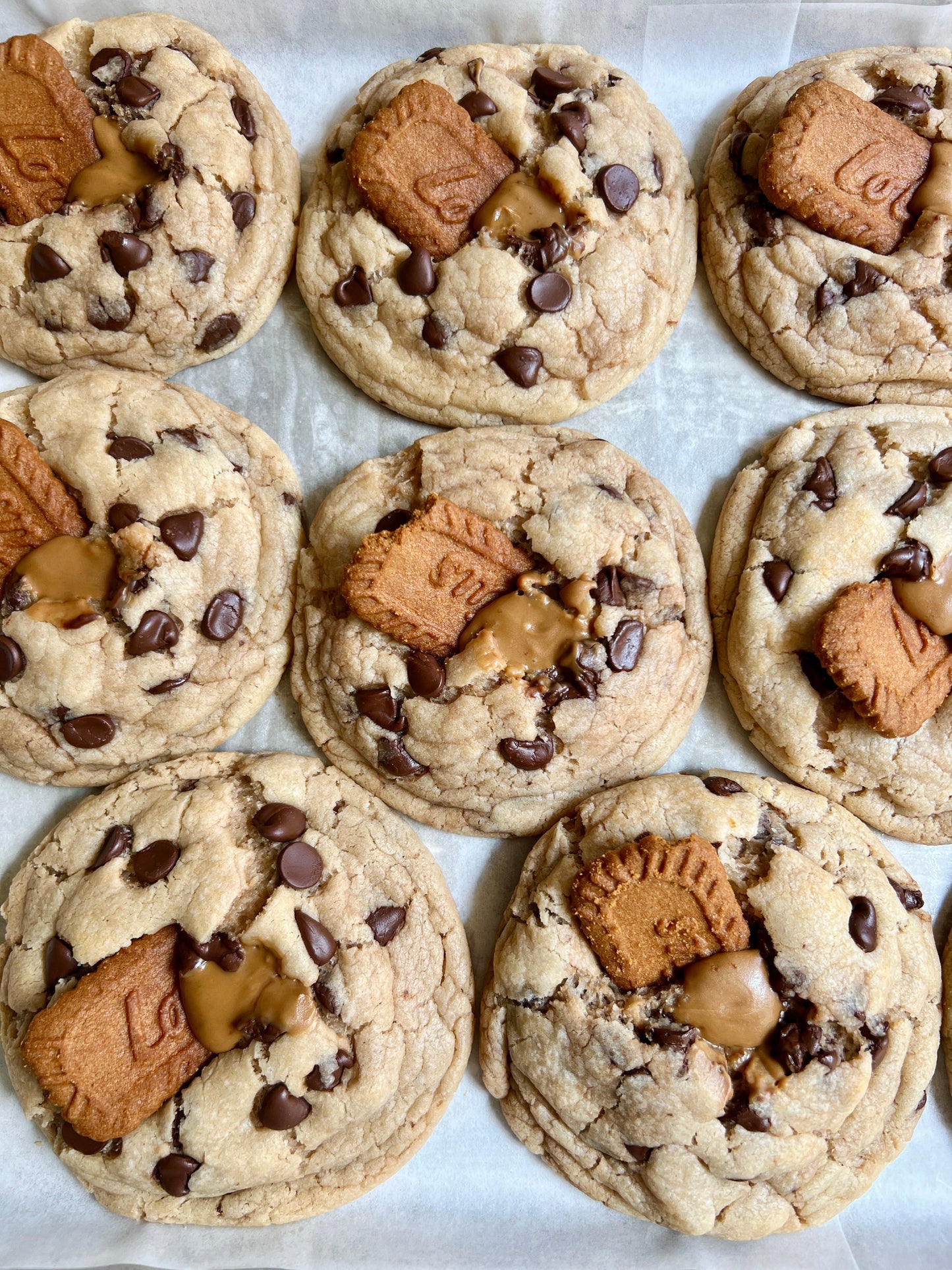 Chocolate Chip Biscoff - Crex