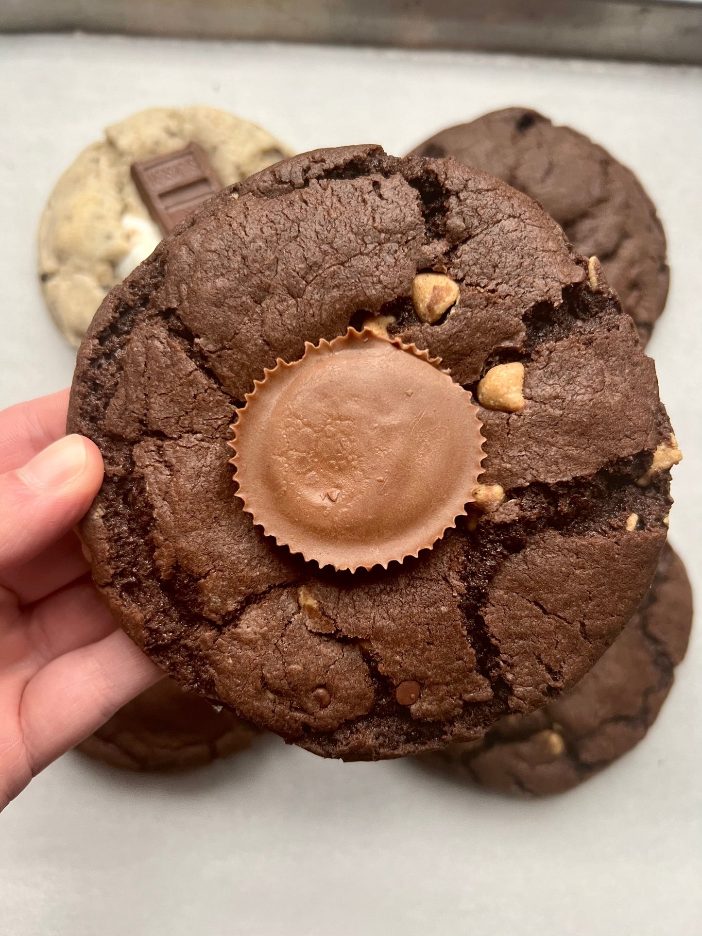 Reese's Brownie - Crex