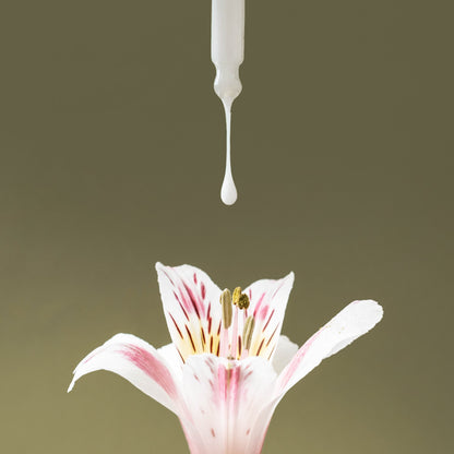 Skin Memory Serum - Crex
